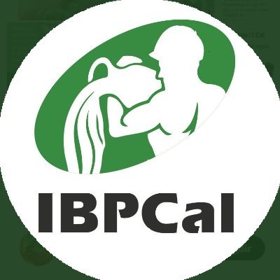 Ingeniería Bancos de Pruebas y Calibraciones, SA de CV

contacto@ibpcal.com
tel. 222 228 2080