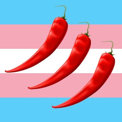 🔥Direct action charity!🔥
🌡️Trans +/ NB protection & survival!🌡️
🌶️Run by @BunnyCat000🌶️
🌞WE KEEP US SAFE🌞