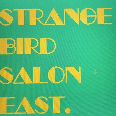 Strange Bird Salon East