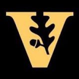 The official account of the Vanderbilt Cerebrovascular Program.