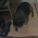 Janet Lunn - @susie441uk - Twitter