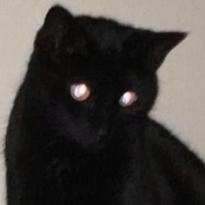 ranbooya's profile picture. basically inactive