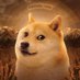 Flyingshiba Profile picture