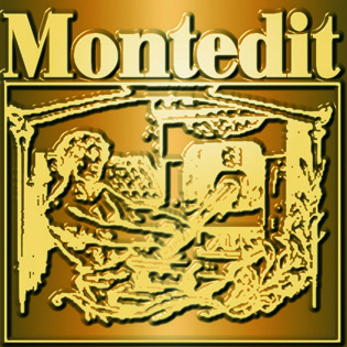 Montedit's profile picture. La Casa Editrice Montedit dal 1988 anni pubblica il tuo libro nel cassetto con professionalità, serietà e trasparenza.