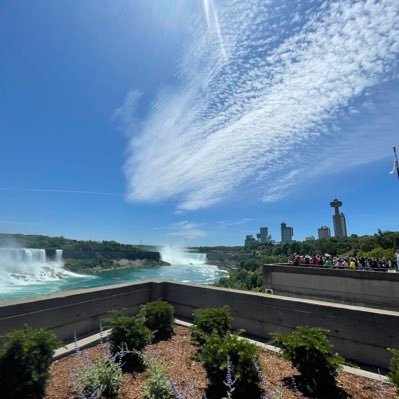 qh78612's profile picture. 