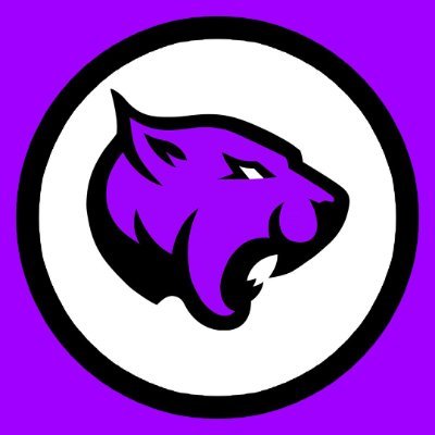Official Team Panther account | Founder @fahadalsaud90 | Elite Org | Home of the best talent in the FGC
