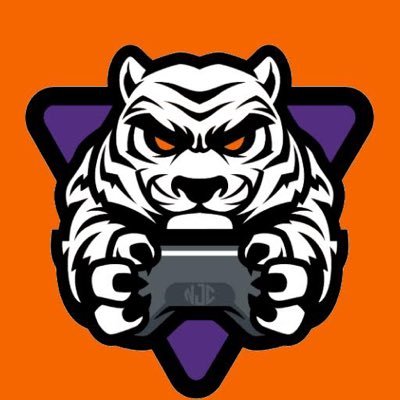 Twitch streamer. Give the pages a follow!