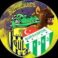 0616 BURSANKARA (@0616agbs) 's Twitter Profile