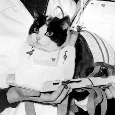 Cat in space. Investor/allocator. Always trying to learn something new.