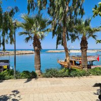 bruno müller (@abart70) Twitter profile photo