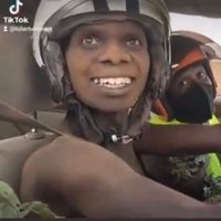 Kings King👑 (@givethemgold) 's Twitter Profile Photo