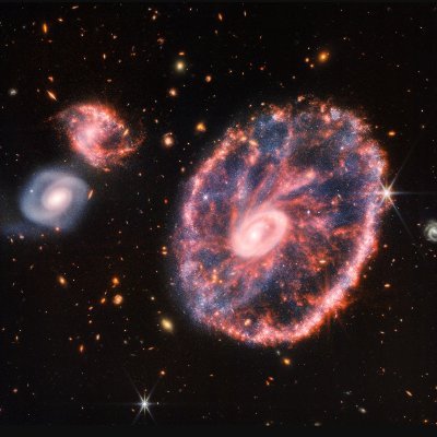 tweetates's profile picture. 