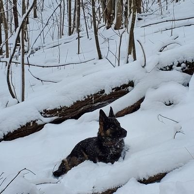 Andrew88964196's profile picture. I love living in the mountains my plants my wife, and pets,soccer,and vehicles