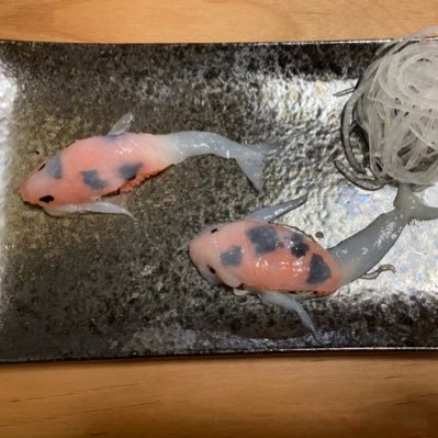 tetsu_banshaku's profile picture. 自炊晩酌のテツです。YouTubeに料理動画を投稿してました。