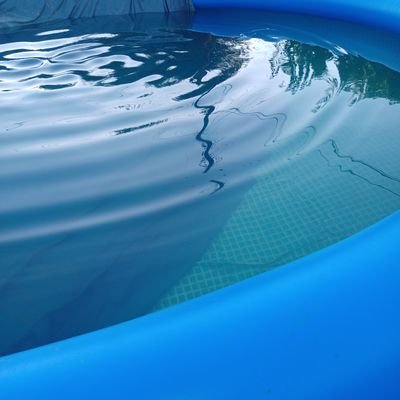 DiamondPoekes's profile picture. 