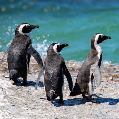 Sunflower22_02's profile picture. 無言フォロー失礼します｜情報収集ROM専いわゆる見る専｜交流が不得意ゆえ、フォロリクを頂いたままにしてしまってます。無礼をお許しください🙏お気持ちに感謝☺️怪しいのはキック｜主にゲームメイン。よろしくお願いします｜アイコン・ヘッダーhttps://t.co/ZjOTvLQDO2様からお借りしてます