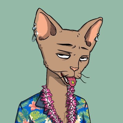 AssitisBnb's profile picture. #BTC