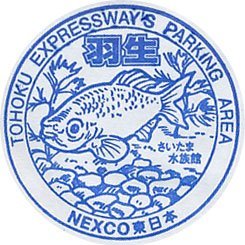 『埼玉県羽生市大字小須賀』近くのスロット専門店”メルヘンワールド羽生店”店長desu。スロ専の明るい未来を日々模索中…皆様どうぞ宜しくお願いします。Let's positive thinking！