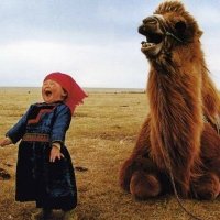 Lokesh Giri (@lokenomics) 's Twitter Profile