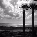 Gina Ames - @ginabeans920 - Twitter