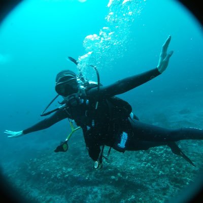 LivFinlayson27's profile picture. Bsc Marine/Envrionmental student @ Southern Cross University, Aus 🐋🐠🌳🌼