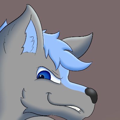 RokiTheSkunkWolf🦨🐺さんのプロフィール画像