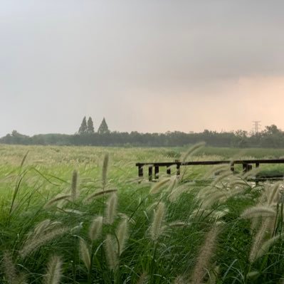 Shenghai08's profile picture. NA