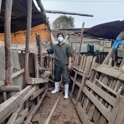 Médico veterinario / Interés en análisis de datos geoespaciales en salud pública veterinaria y sanidad animal - Ensayos Clínicos en Laboratorios Biomont