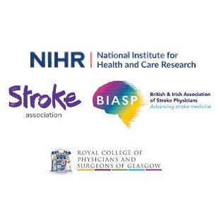 UK Stroke Research Workshop 2024