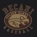 Bethlehem Catholic Baseball (@BCDiamondHawks) Twitter profile photo