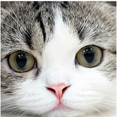 22Mogumogu's profile picture. 