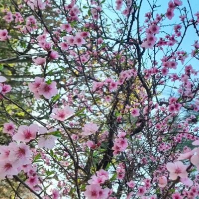 Stefsalvatierra's profile picture. 💞Si nada nos salva de la muerte al menos que el amor nos salve de la vida 💞