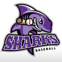 Martha’s Vineyard Sharks!(@MV_Sharks) 's Twitter Profile Photo