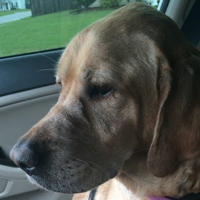 iris_whatley's profile picture. 