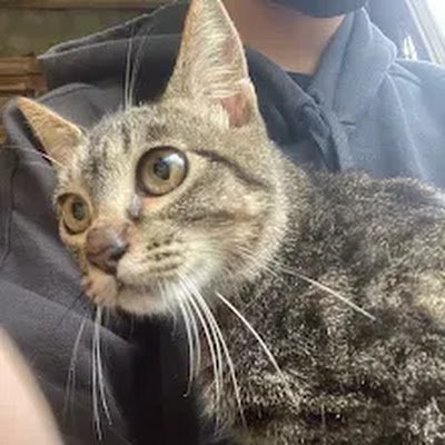 Ianzhen65371579's profile picture. 