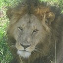 Andy Gratton - @andy503k - Twitter