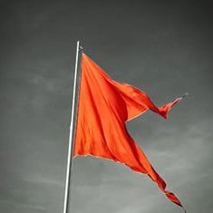 Nidra_turtle's profile picture. .