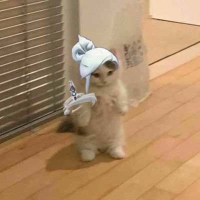 klayeeent's profile picture. stfu nerd.