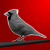 Cardinal05 (@cardinal05_eso) Twitter profile photo Cardinal05 (@cardinal05_eso) Twitter profile photo
