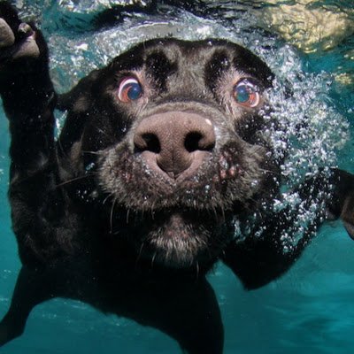 BB00061067's profile picture. 