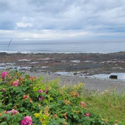 cestmoi40544091's profile picture. Vivre dans la peur constante, ce n'est que survivre