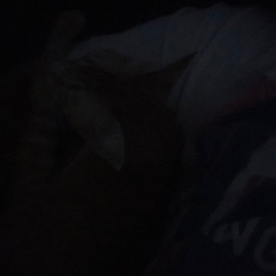 bigdevs's profile picture. 