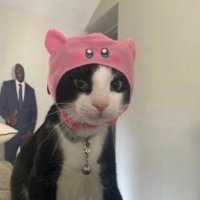 michael (@bunchofgoobs) 's Twitter Profile