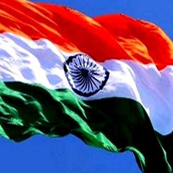 ArvindK10560979's profile picture. 