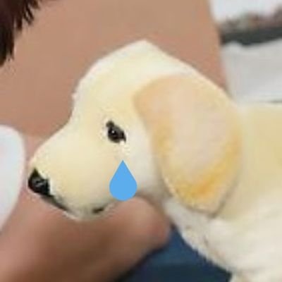 ʙᴀᴛᴀʙɪさんのプロフィール画像