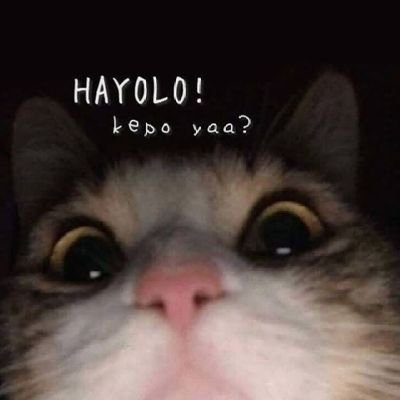 fatimahhyy's profile picture. 