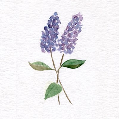 誕生花がライラックなのでLilac.です。花とドレスと和風の物が好きです。透明水彩メイン。時々版権 FRBご自由に