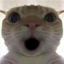 Rosia79687820's profile picture. 