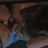 hater de botânica (@dudaswork) 's Twitter Profile