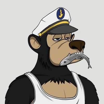 LemmingsFC's profile picture. the best collection in recent years @bearsafterh